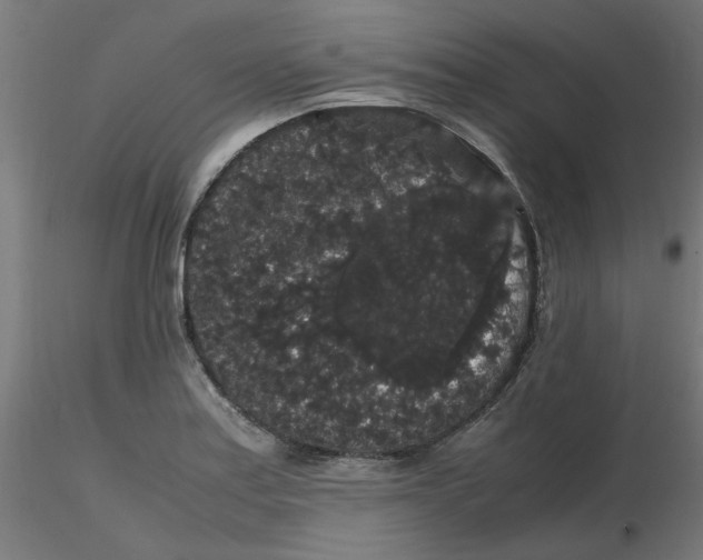 X0000116121179200912211647