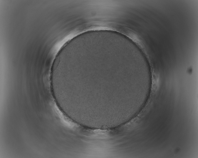 X0000116121181200912211647