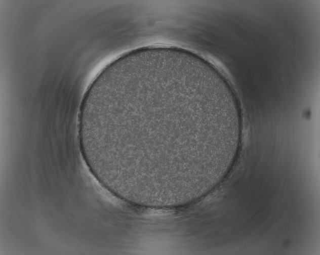 X0000116121183200912211647