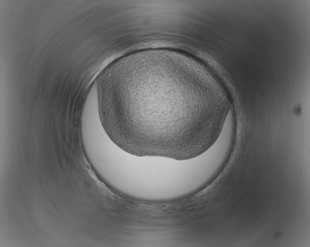 X0000116121185200912211647