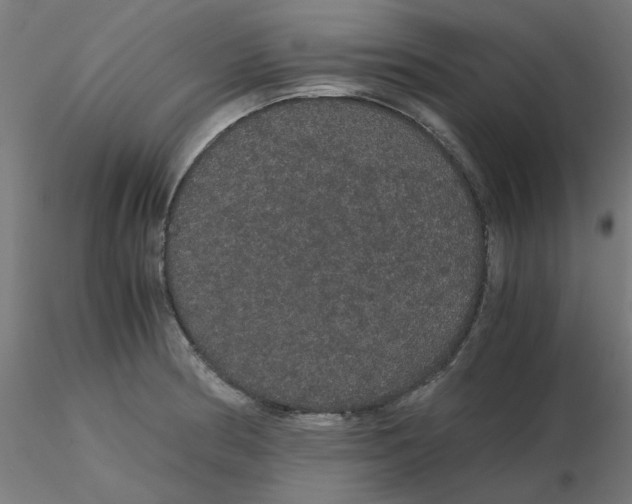 X0000116121186200912211647