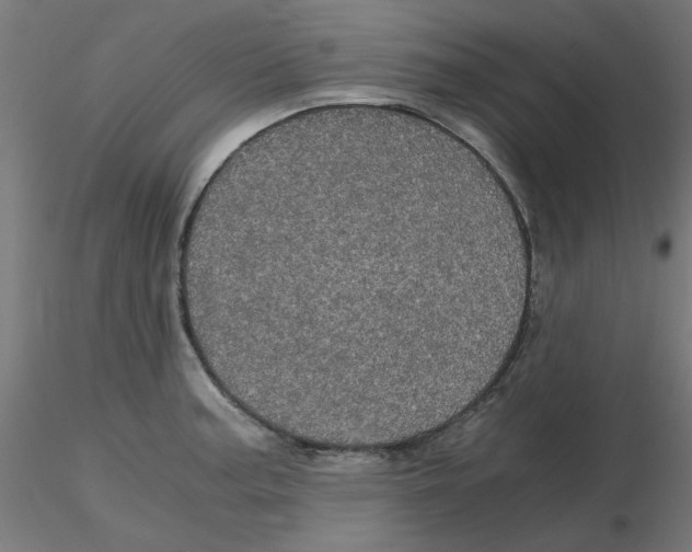 X0000116121187200912211647
