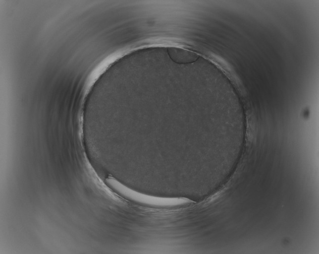 X0000116121188200912211647