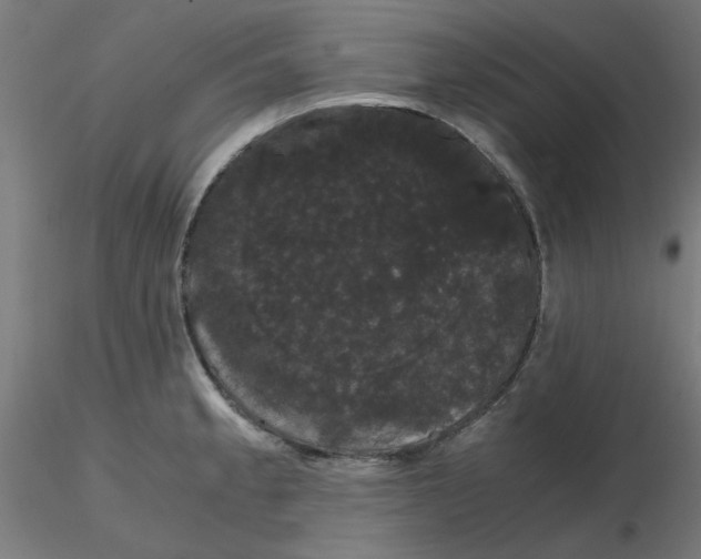 X0000116121189200912211647
