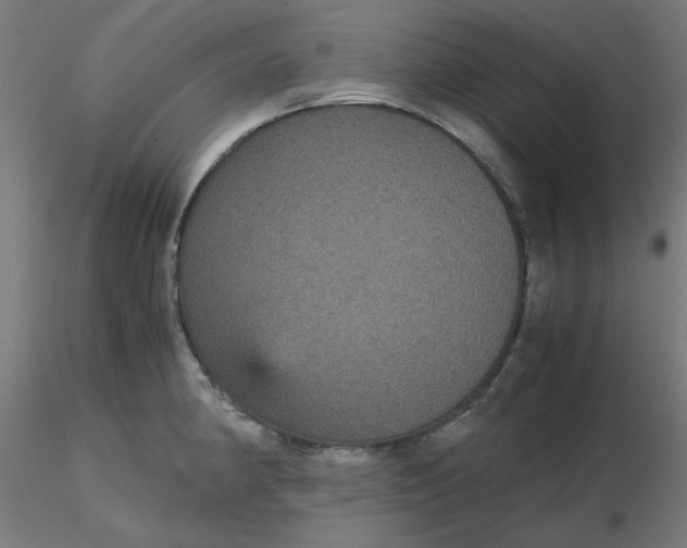 X0000116121190200912211647