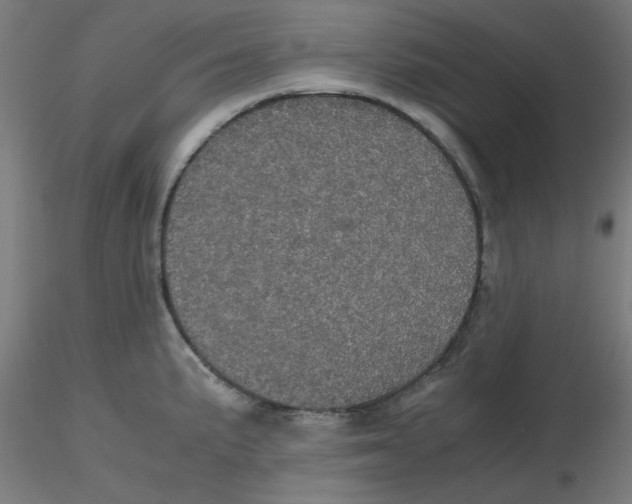X0000116121191200912211647