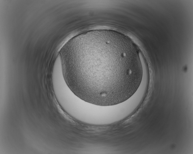 X0000116121193200912211647