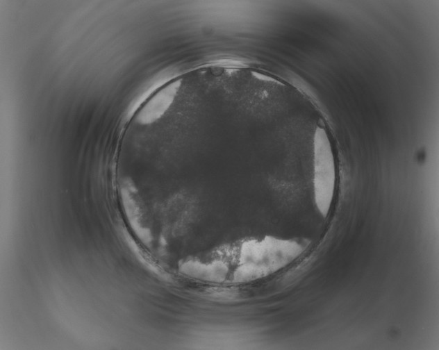 X0000116121194200912211647