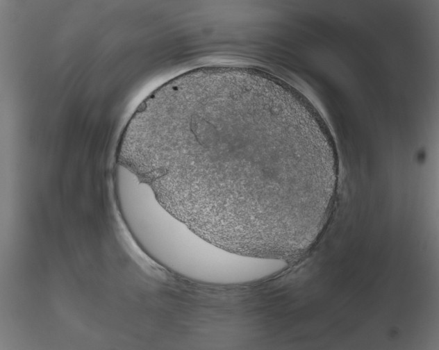 X0000116121195200912211647