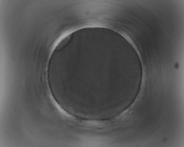 X0000116121197200912211647