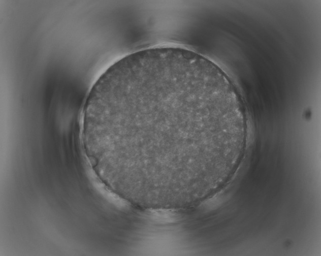 X0000116121198200912211647