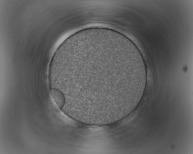 X0000116121199200912211647