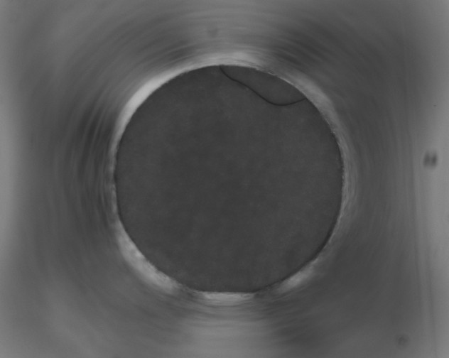 X0000116121200200912211647