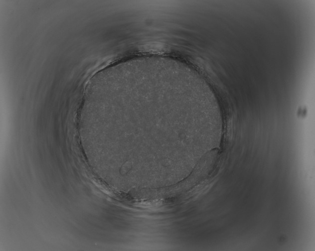 X0000116121201200912211647