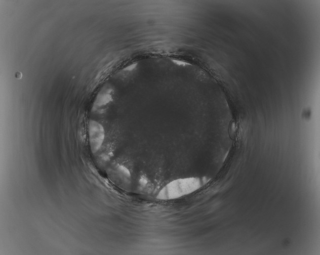 X0000116121202200912211647