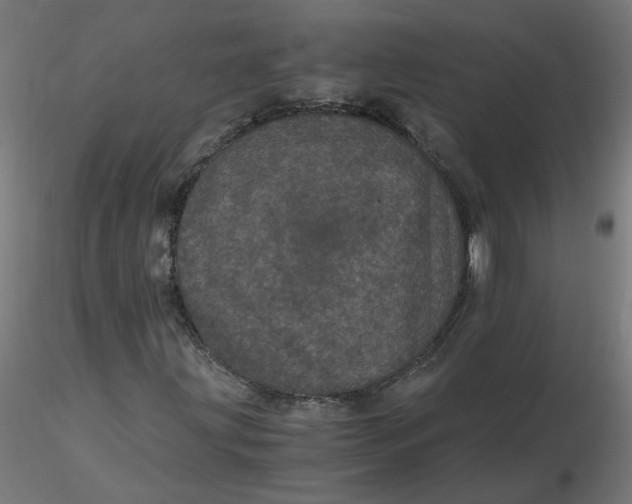 X0000116121203200912211647