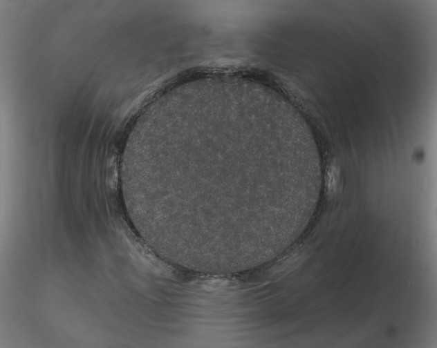 X0000116121204200912211647