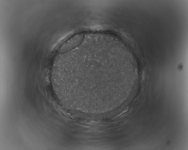 X0000116121205200912211647