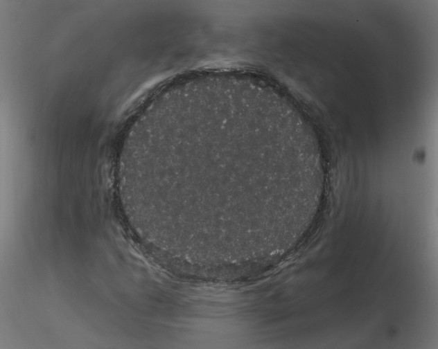 X0000116121206200912211647