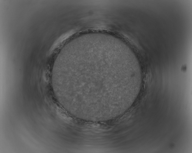 X0000116121207200912211647