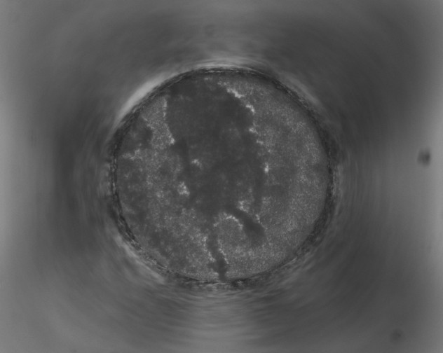 X0000116121208200912211647