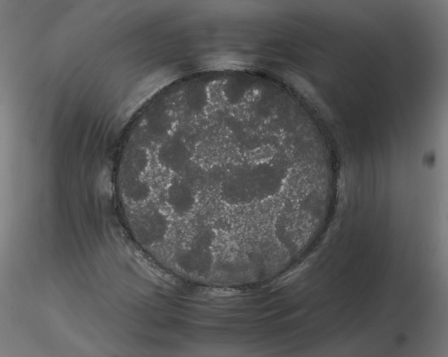 X0000116121209200912211647