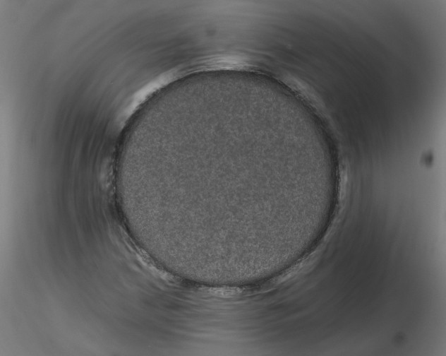 X0000116121210200912211647