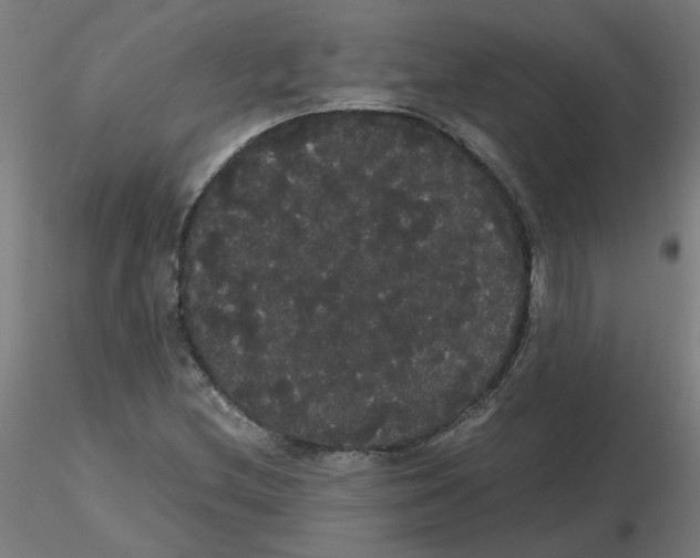 X0000116121212200912211647