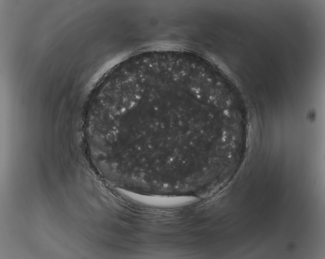 X0000116121213200912211647