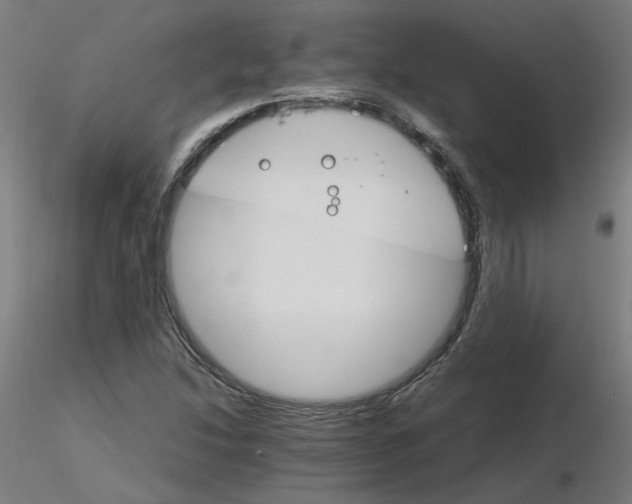 X0000116121214200912211647