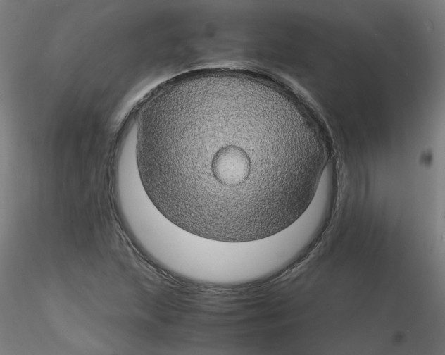 X0000116121215200912211647