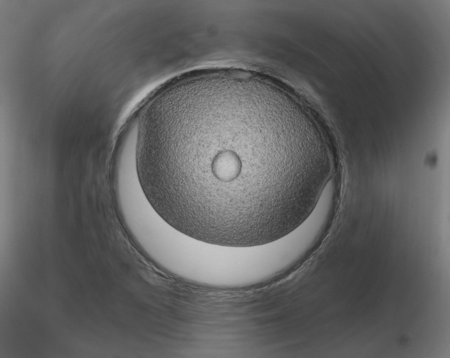 X0000116121216200912211647