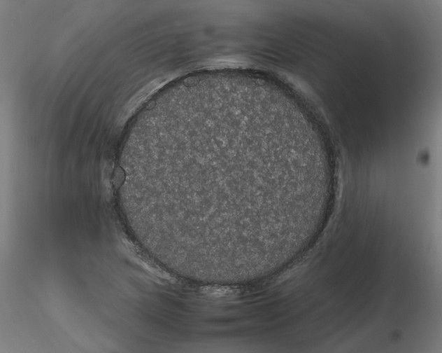 X0000116121217200912211647
