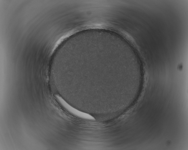 X0000116121218200912211647