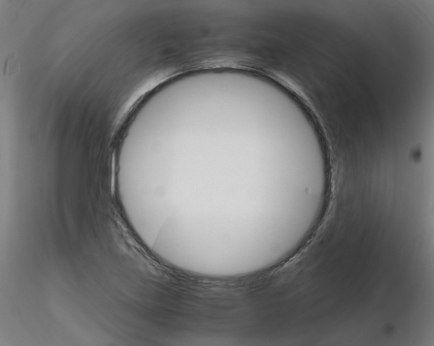 X0000116121219200912211647