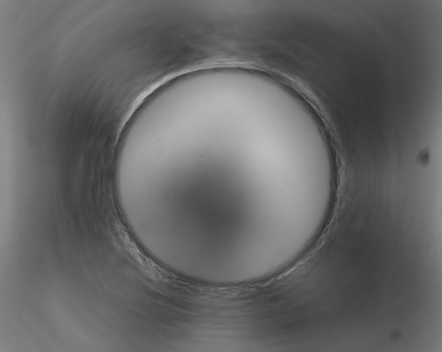 X0000116121220200912211647