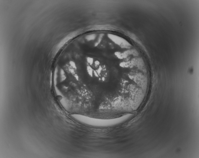X0000116121221200912211647