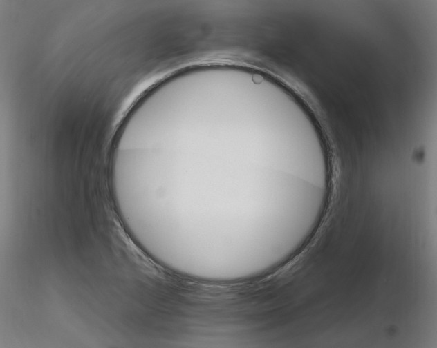 X0000116121224200912211647
