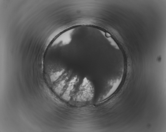 X0000116121226200912211647