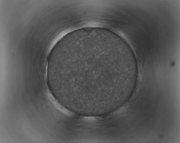 X0000116121227200912211647