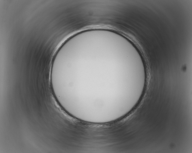 X0000116121228200912211647