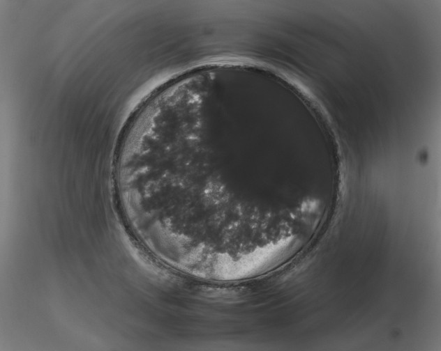 X0000116121229200912211647