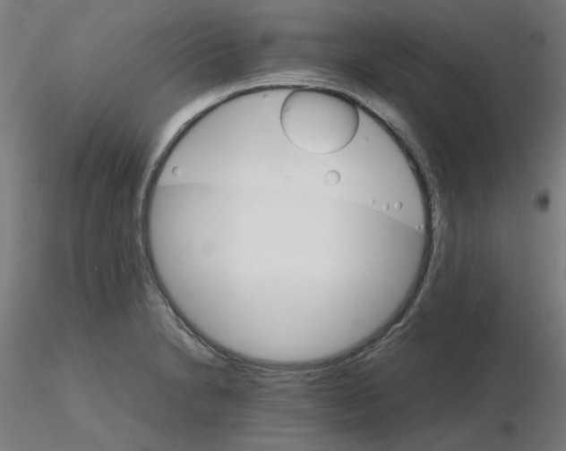 X0000116121230200912211647