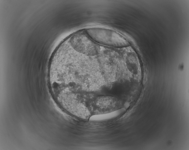 X0000116121231200912211647