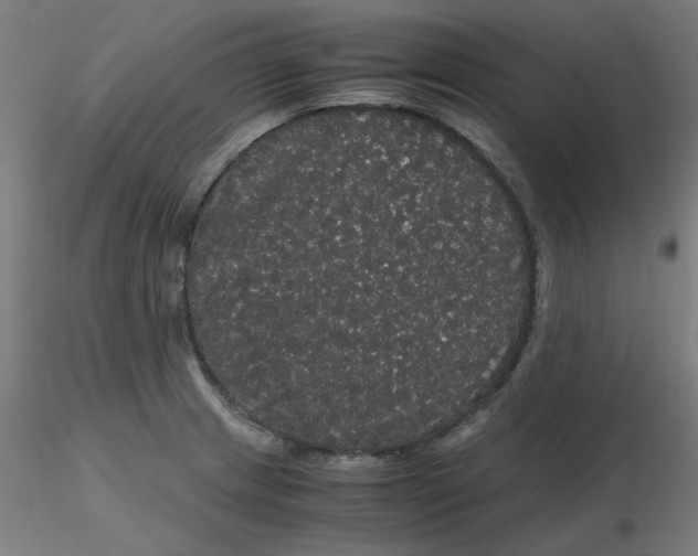 X0000116121233200912211647