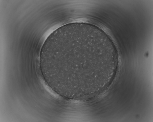 X0000116121234200912211647