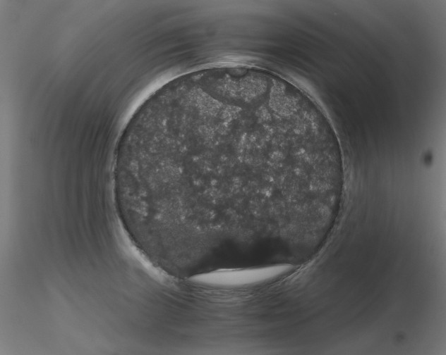 X0000116121235200912211647