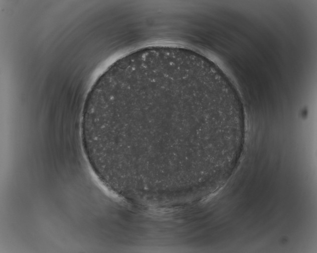 X0000116121237200912211647