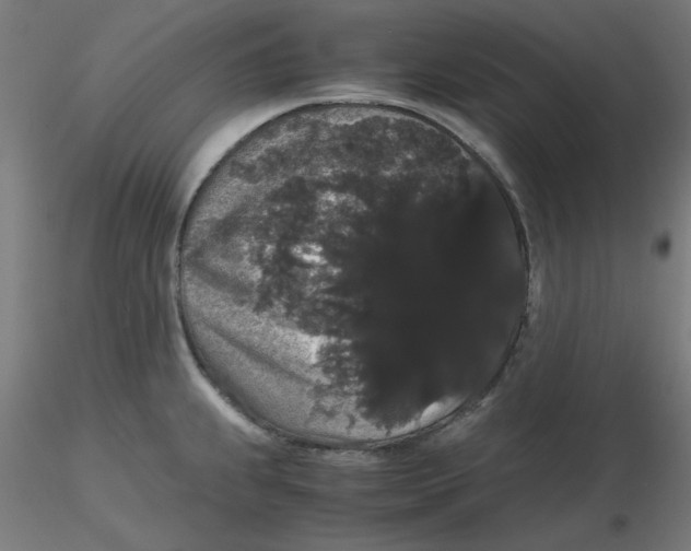 X0000116121239200912211647
