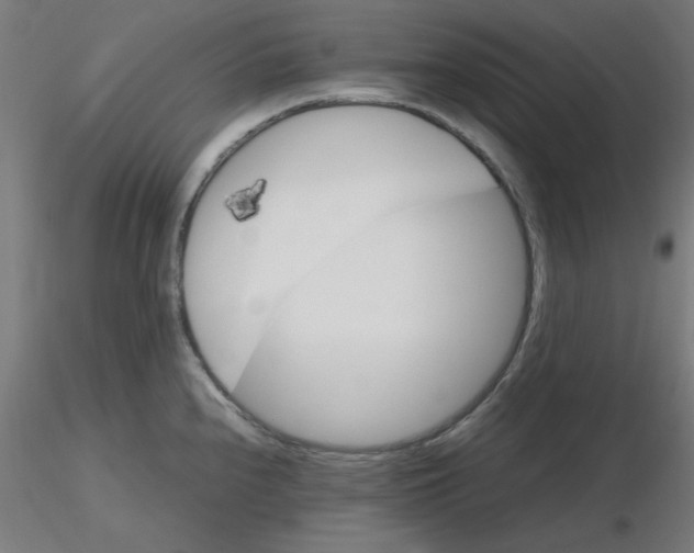 X0000116121240200912211647